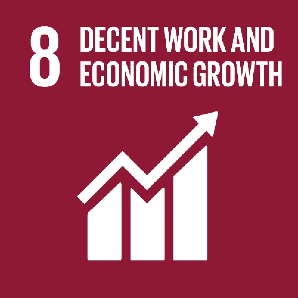 8 – Decent work and economic growth 